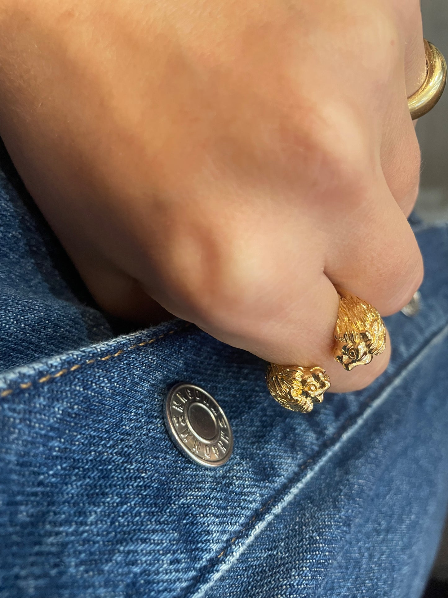 Bague double Lions